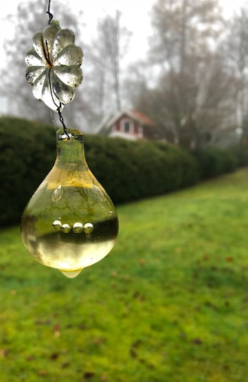 En glaskula som hänger i ett träd med gräsmatta bakom